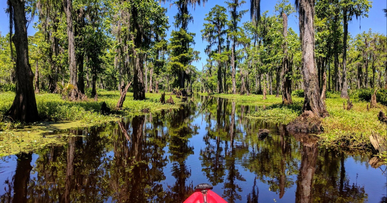 Shell Bank 1/2 Day Extended Bayou Adventure | Admire New Orleans