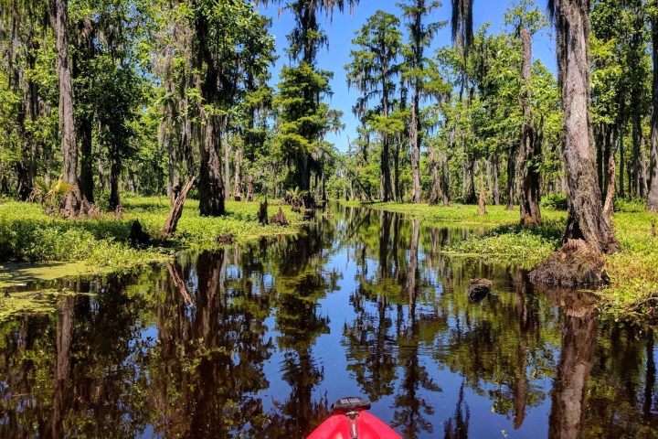 Shell Bank Bayou Adventure